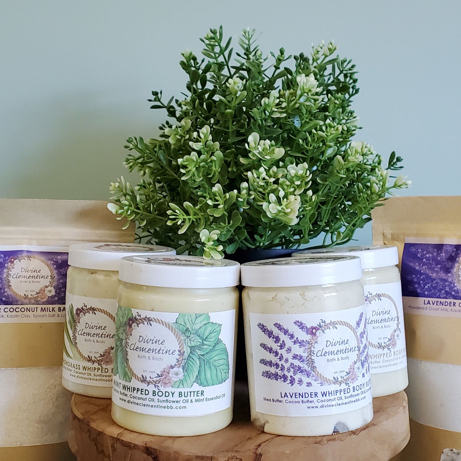 Whipped Body Butter + Bundles